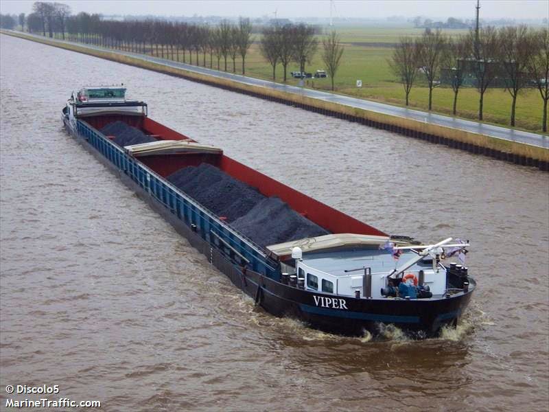 Viper — thumbnail 3